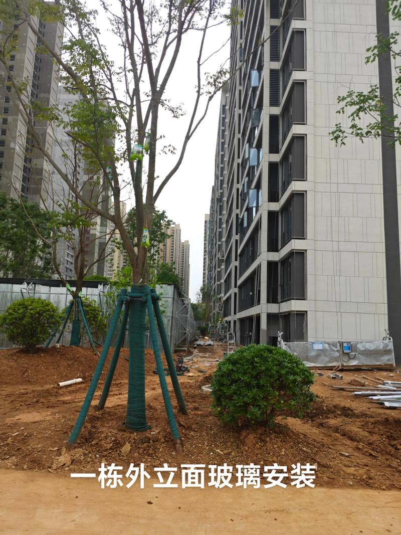 光谷中央公園園林綠化工程施工進展順利，打造生態休閑新地標