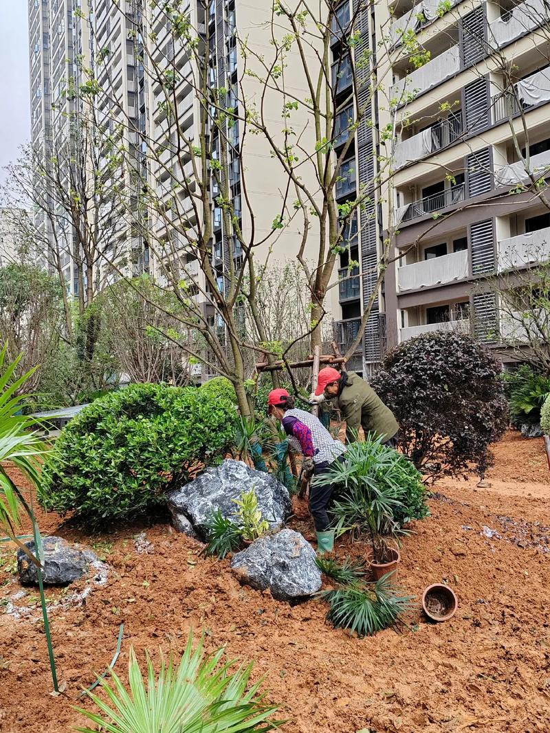 園林綠化工程 從設計到施工，打造宜居小區景觀