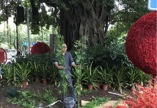 福州市園林局與監督站協同發力，以優質綠化獻禮十九大